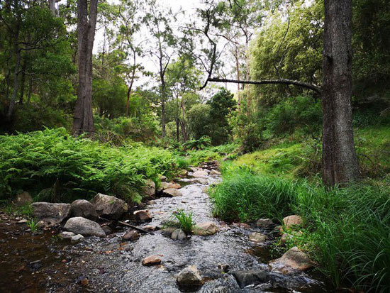 Take the Google Maps suggestion to save 15 minutes, this guy has a trip to remember life Picture 12
