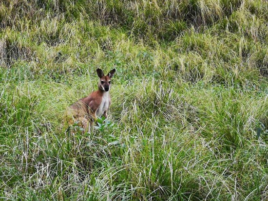 Take the Google Maps suggestion to save 15 minutes, this guy has a trip to remember life Picture 14