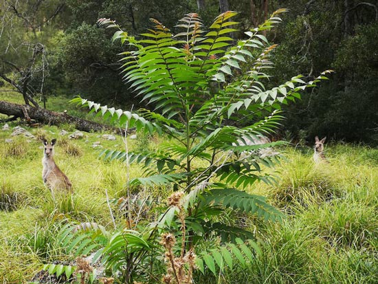 Take the Google Maps suggestion to save 15 minutes, this guy has a trip to remember life Picture 15