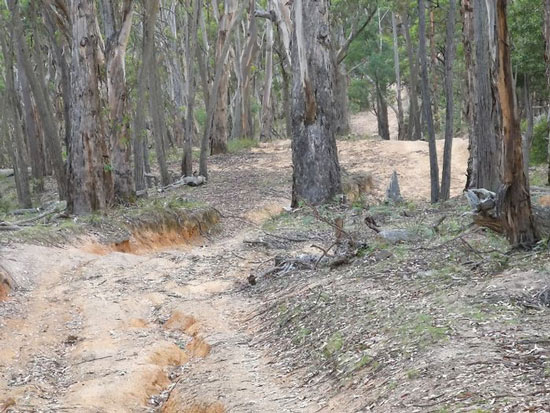 Take the Google Maps suggestion to save 15 minutes, this guy has a trip to remember life Picture 6