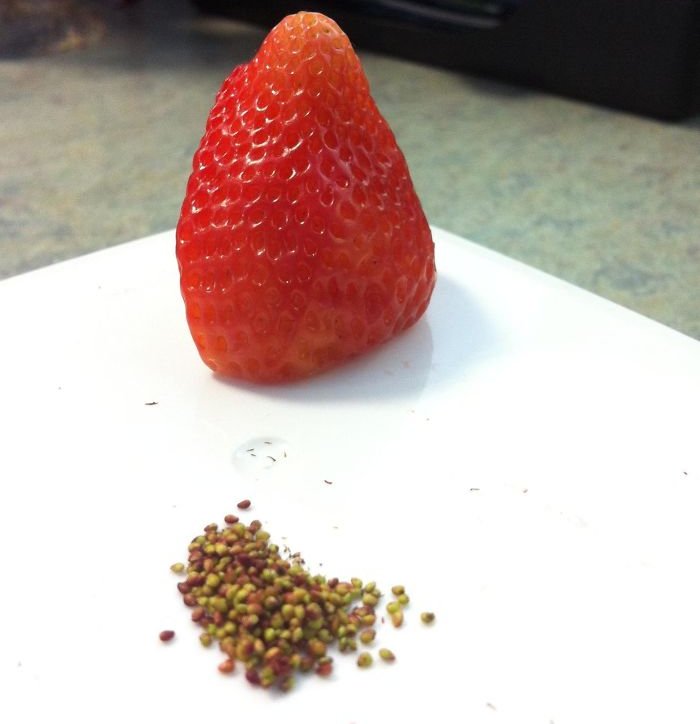 Take words with 25+ creative ideas at times when 'super free' Picture 13