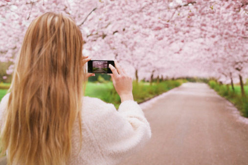 Tell you 10 simple photography tips that are effective on iPhone Picture 5