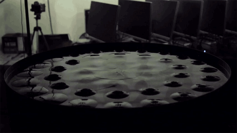 Terrified, watching the gruesome black liquid 'creep' into its skull Picture 7