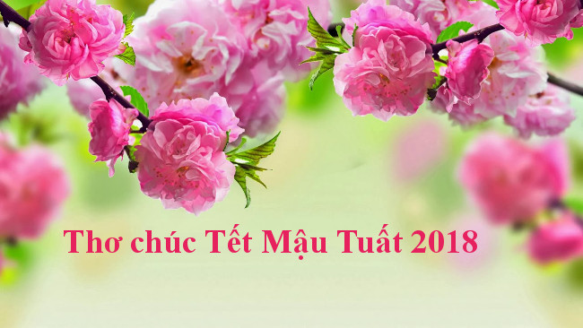 Tet wishes, good poems on spring to celebrate the new year 2018 Picture 4