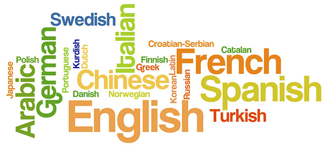 The 10 best 'jobs' are available only to those who know a foreign language Picture 2