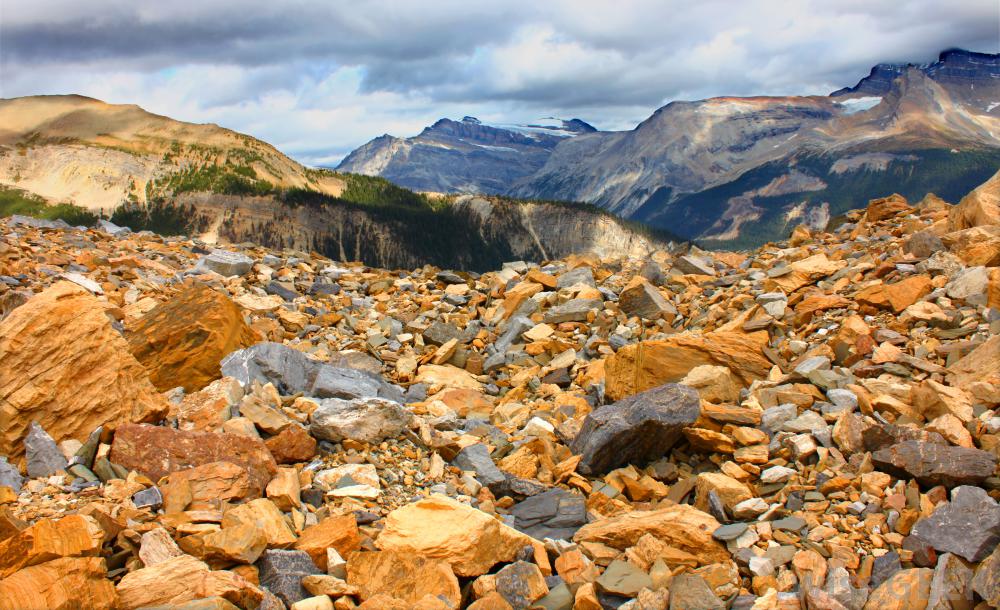 The 15 most 'quality' science websites today Picture 3