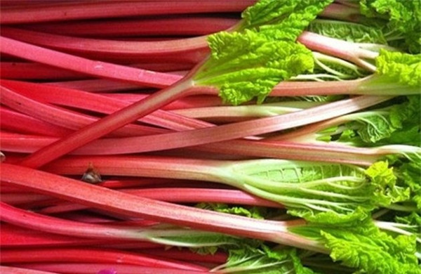 The 16 most dangerous dishes in the world including those of us who used to eat Picture 15