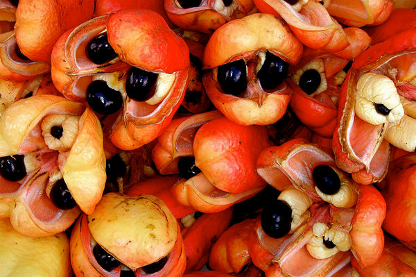 The 16 most dangerous dishes in the world including those of us who used to eat Picture 3