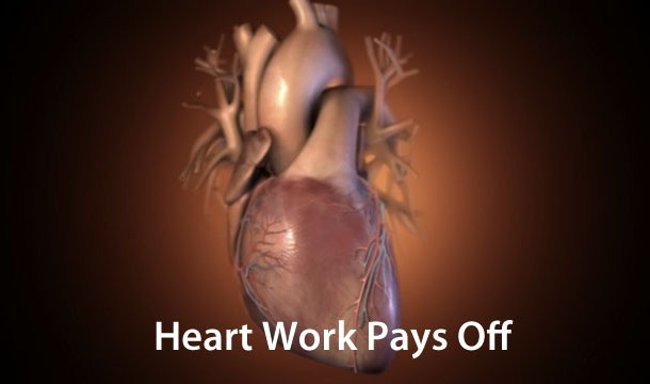 The 25 interesting facts about HEART may not be known to you Picture 5