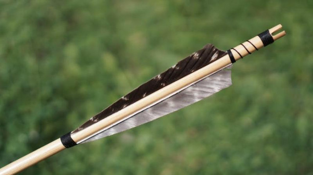The 4000-year-old weapon, lunch box discovered in Switzerland Picture 1