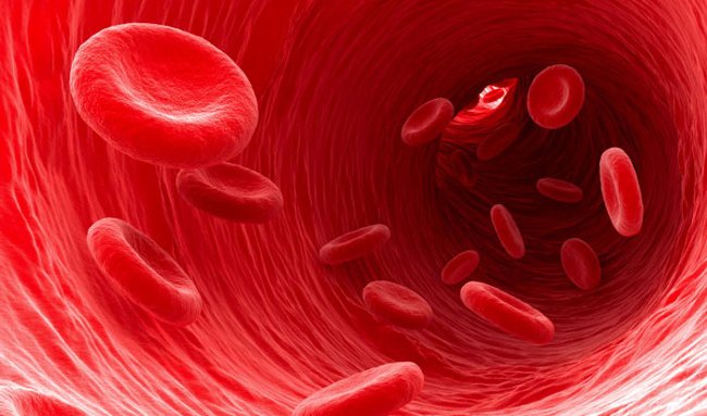 The 5 health benefits of donating blood may not be known to you Picture 3