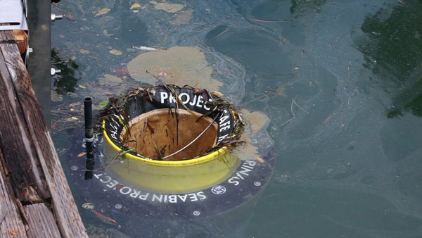 The 50 best inventions of 2018 by Time Magazine poll (The last part) Picture 12