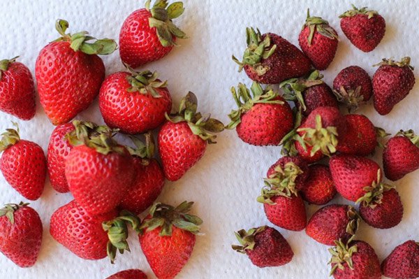 The 50 most wonderful inventions of 2018 by Time Magazine (Part 1) Picture 3