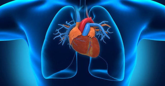 The AI ​​system can predict a stroke risk more accurately than a doctor Picture 3