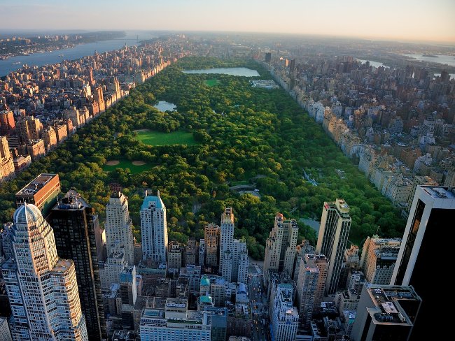 The Amazing Life of Amazon CEO Jeff Bezos, who has just been Bill Gates' richest usurper in the world Picture 35