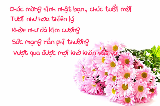 The best and most meaningful birthday wishes Picture 10