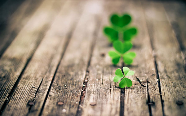 The best clover wallpaper for laptops Picture 12