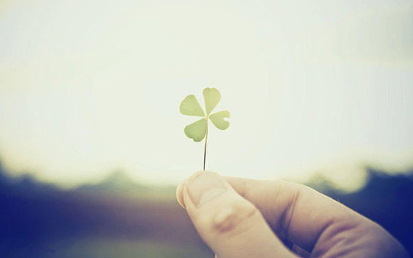 The best clover wallpaper for laptops Picture 13