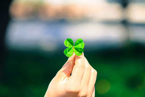 The best clover wallpaper for laptops Picture 26