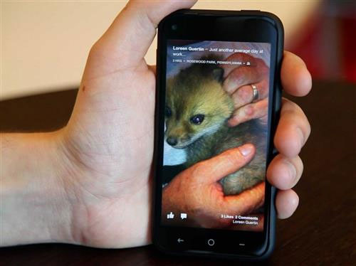 The biggest disappointments in technology village 2013 Picture 3