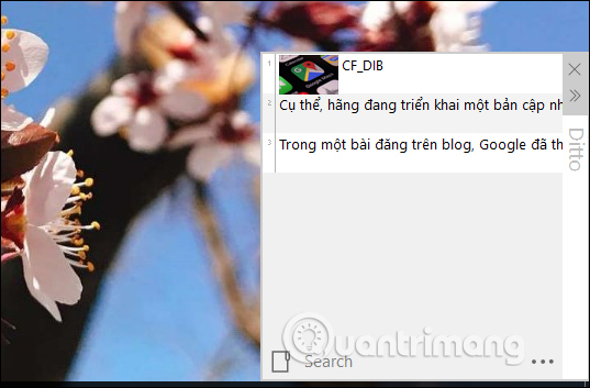 The clipboard management software on Windows Picture 1