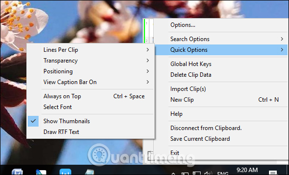 The clipboard management software on Windows Picture 2