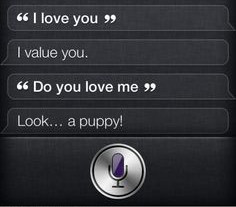 The 'critical' answers of Siri, the funny assistant on iOS Picture 4