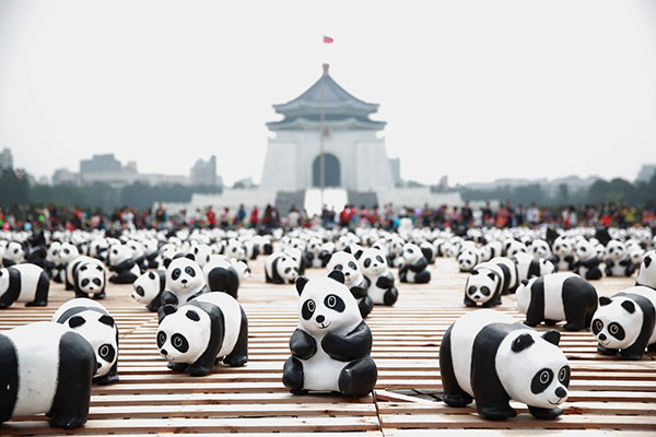 The cutest panda wallpaper set for computers Picture 30