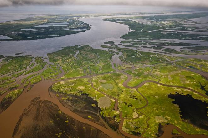 The 'dead zone' on the ocean threatens the life and ecosystem of many seas