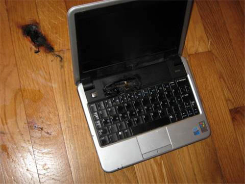 The Dell Mini 9 explodes the floor Picture 2