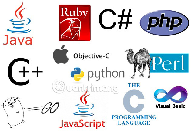 The difference between programming and web development Picture 2