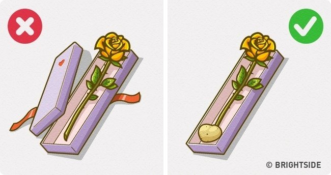 The 'divine' tips from 100 years ago are still useful Picture 11