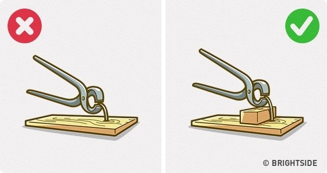 The 'divine' tips from 100 years ago are still useful Picture 9