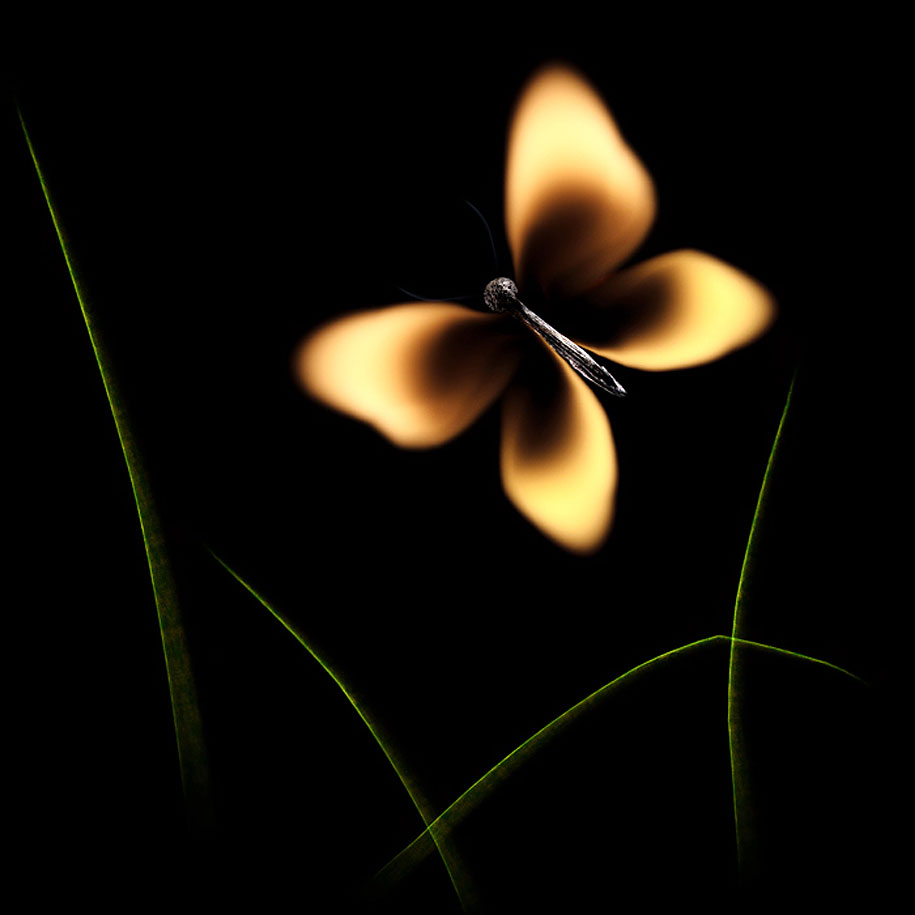 The dying matches have reached the pinnacle of art Picture 10