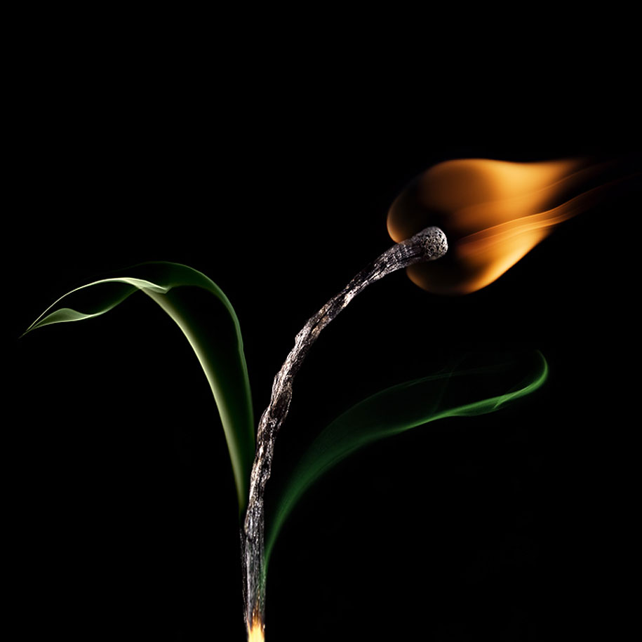 The dying matches have reached the pinnacle of art Picture 2