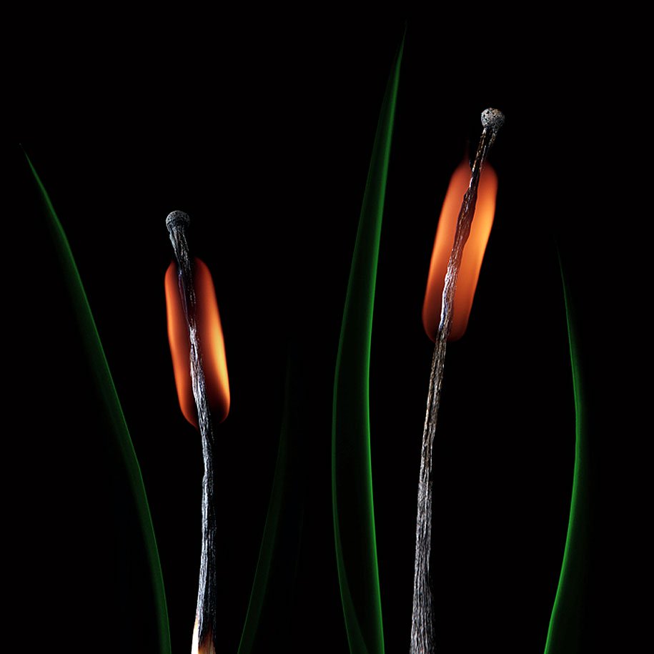 The dying matches have reached the pinnacle of art Picture 22