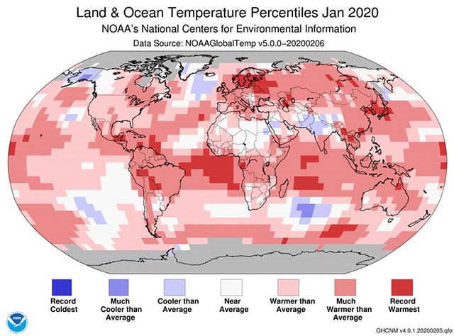 The Earth has just recorded the hottest January in history Picture 1