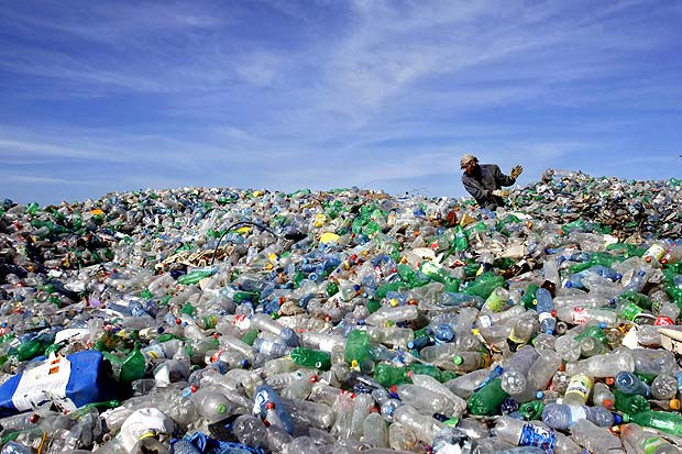 The Earth has more than 8 billion tons of plastic, weighing about 1 billion elephants Picture 1