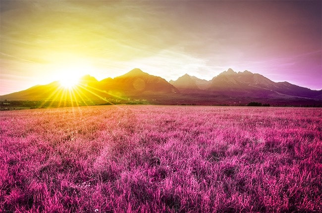 The Earth used to be purple and 8 secrets of little surprise Picture 7