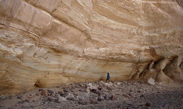 The entomologist confirmed the first Saharan farm 10,000 years ago Picture 1