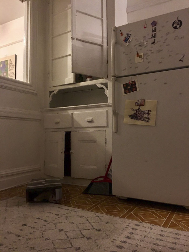 The eyesight test with Pierogi cat is more likely to hide than Ninja that most people don't see! Picture 15