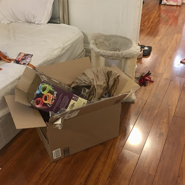 The eyesight test with Pierogi cat is more likely to hide than Ninja that most people don't see! Picture 5