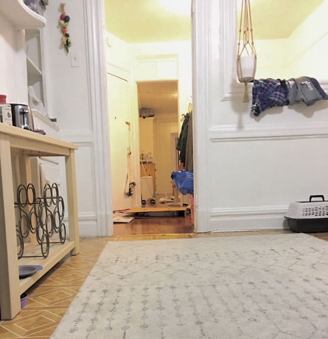 The eyesight test with Pierogi cat is more likely to hide than Ninja that most people don't see! Picture 8