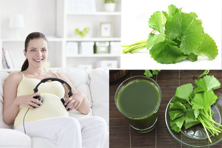 The 'face point' of the foods that pregnant women should avoid should not harm them Picture 2