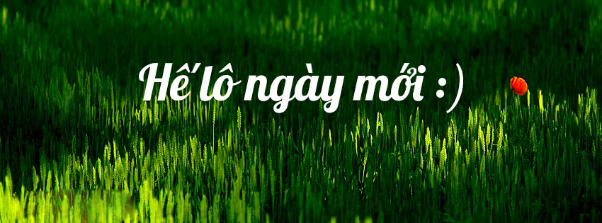 The Facebook cover photos are good morning, meaningful Picture 3