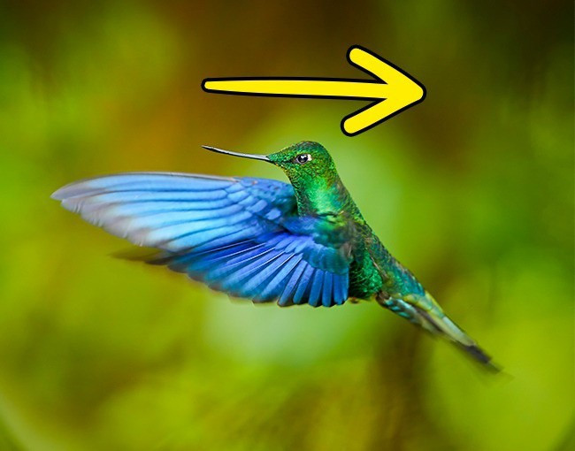 The facts surprise you about life Picture 16