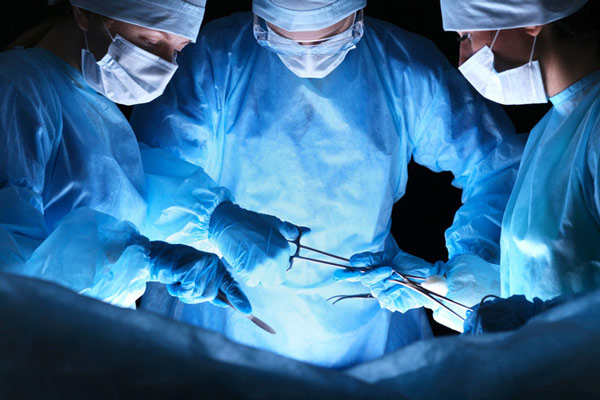 The first human being had a biological pause to extend life, literally 'switched off and on' Picture 3