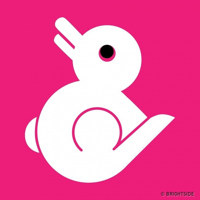 The first thing seen in this photo will reveal your personality traits! Picture 2