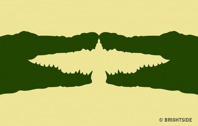 The first thing seen in this photo will reveal your personality traits! Picture 3