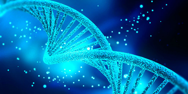 The genetic variant was found to be associated with viral inflammation Picture 3